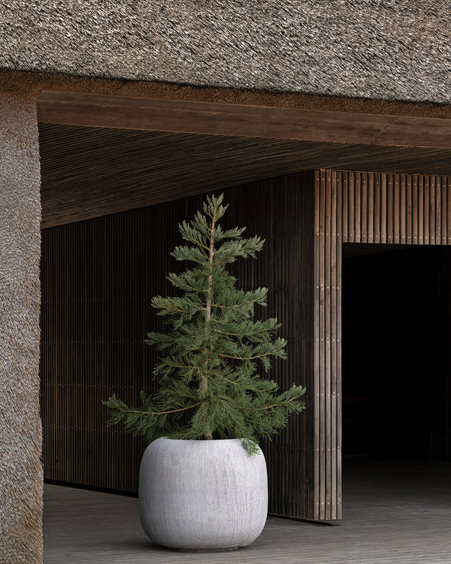 DOMANI MELIDES | CEMENT