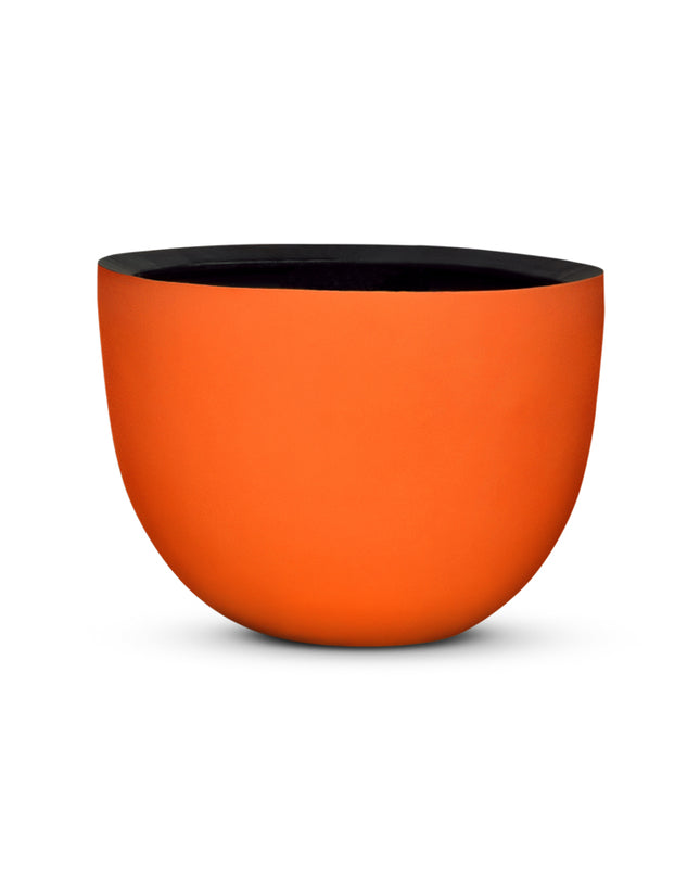 DOMANI AXEL | ORANGE