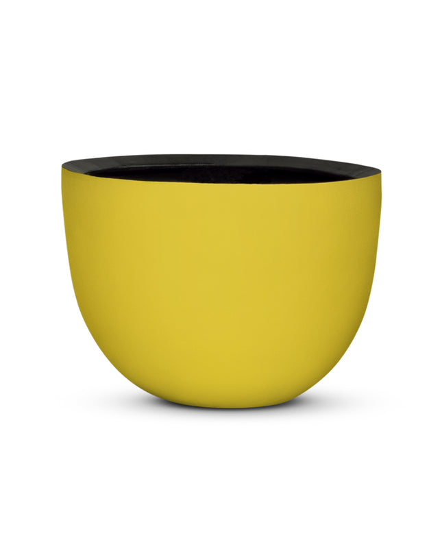 DOMANI AXEL | YELLOW