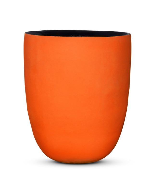 DOMANI AXEL | ORANGE