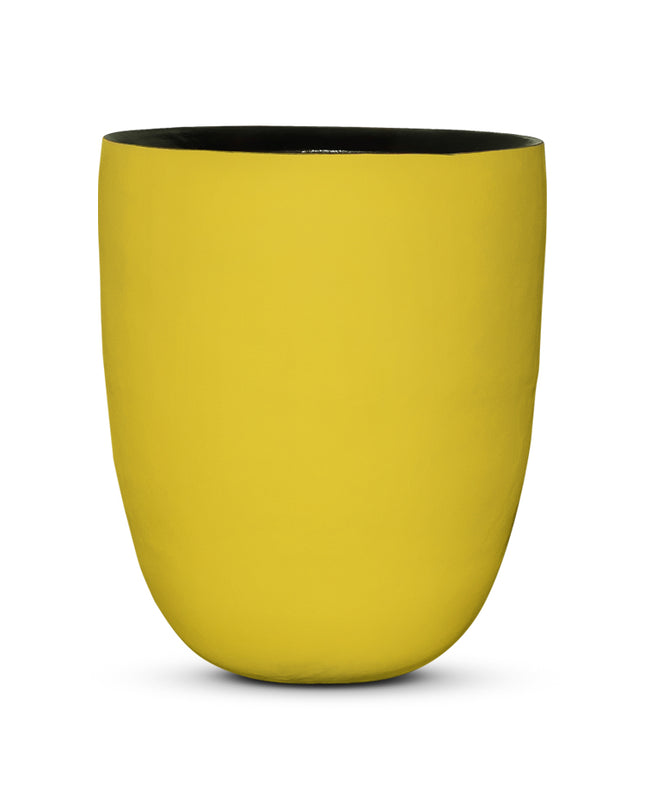 DOMANI AXEL | YELLOW