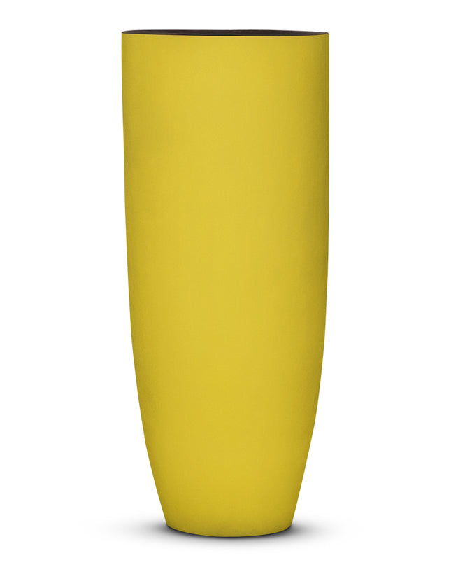 DOMANI AXEL | YELLOW