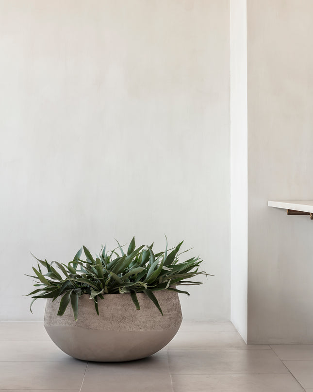 DOMANI ATLANTIS | NATUREL WHITE