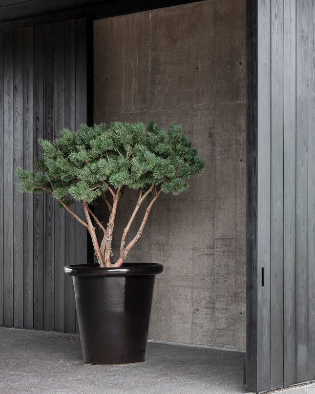 DOMANI LONDON | BLACK