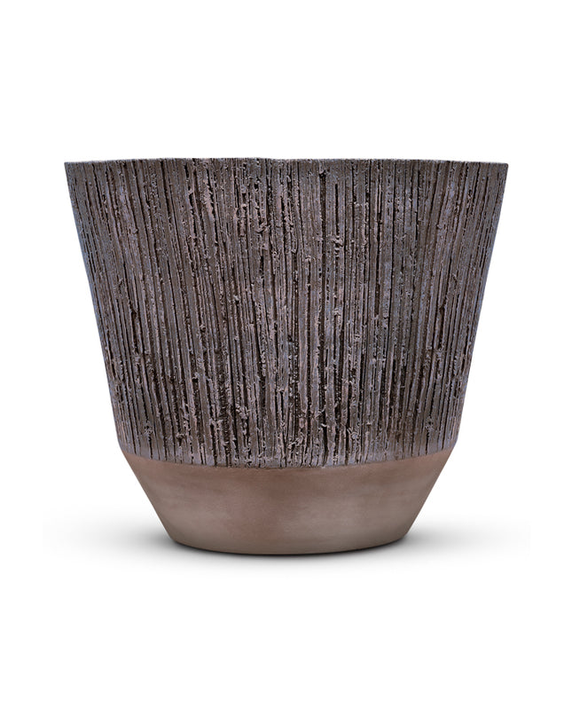 DOMANI ALBI | PURPLE