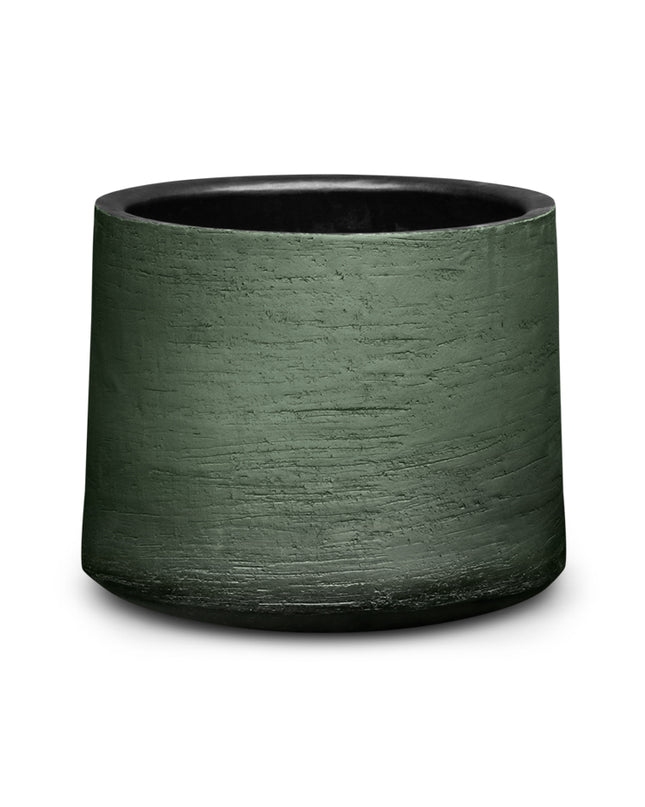 DOMANI HAVANA | SWAMP