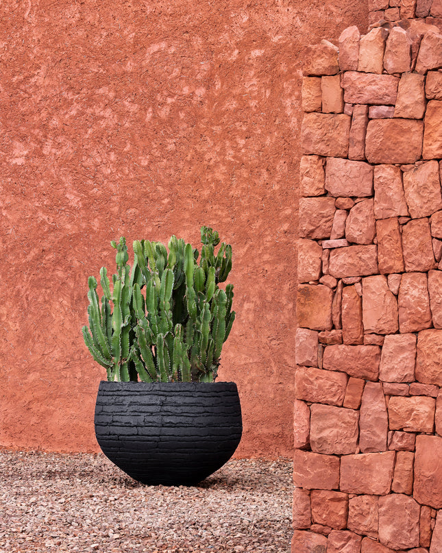 DOMANI VIENNA | NATURAL BLACK