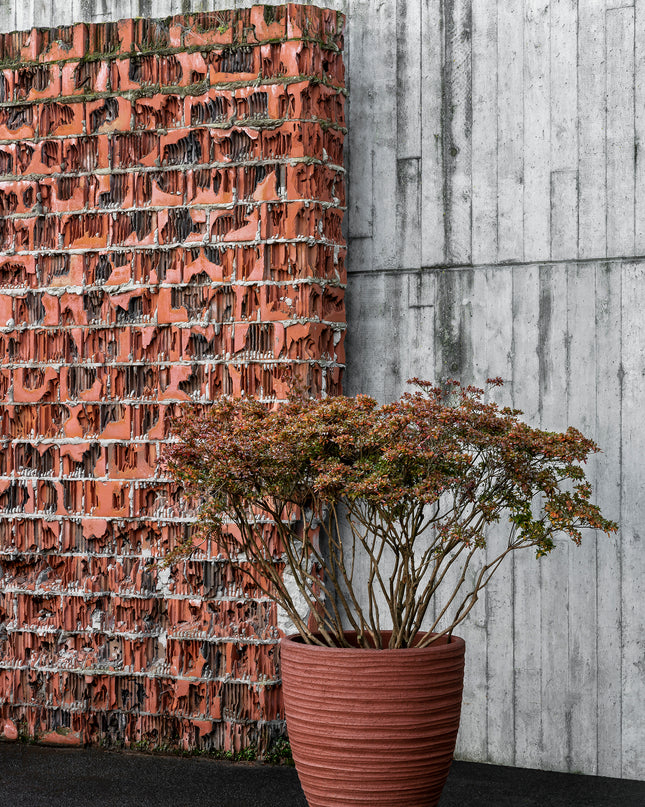 DOMANI DALA | NATURAL RED