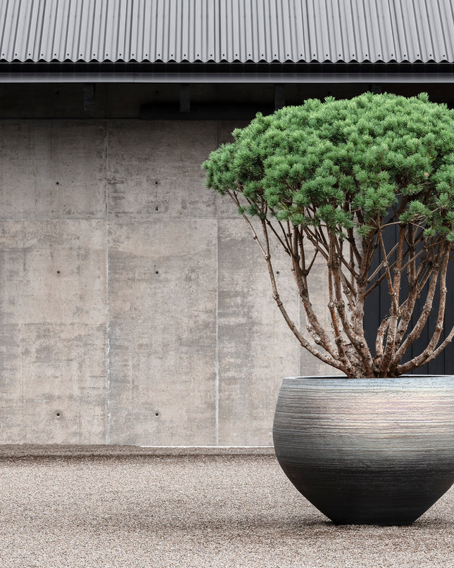 DOMANI NUUK | MINT GREEN