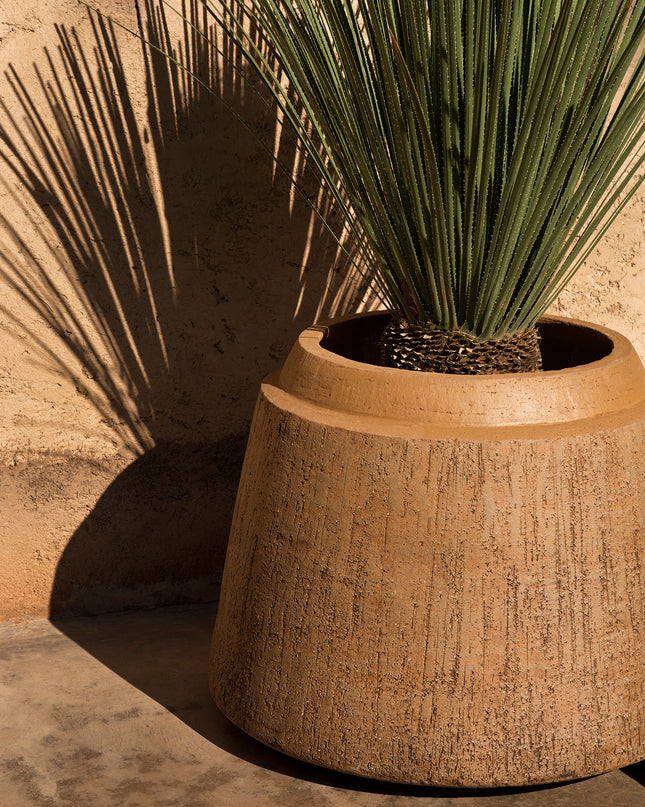 DOMANI NAGORI | CAMEL