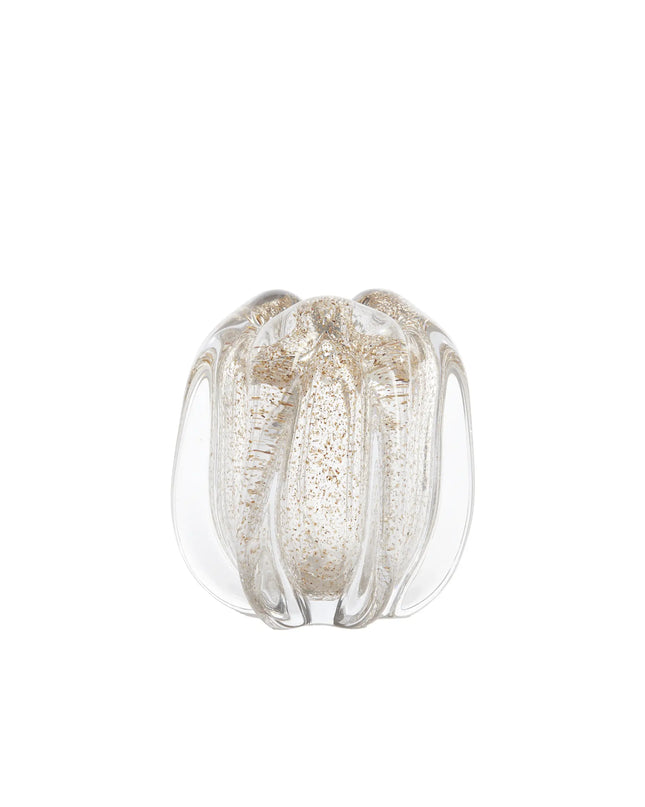 VAAS MURELA - TRANSPARANT