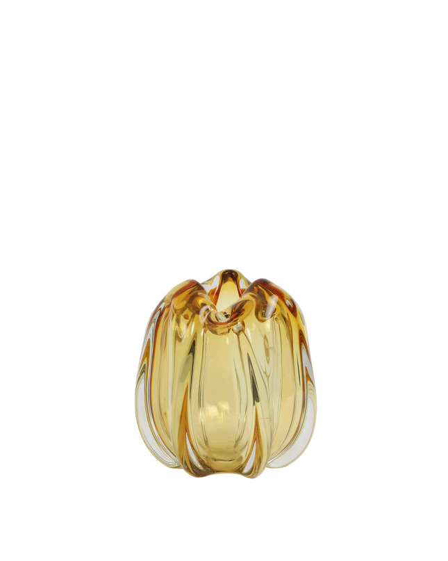 VAAS MURELA XXS - AMBER