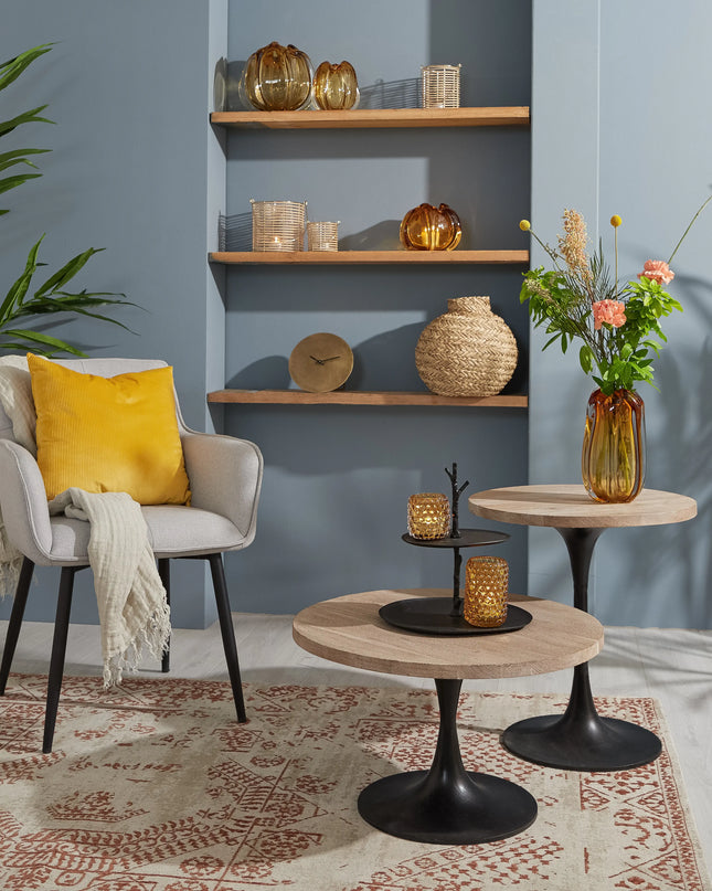 VAAS MURELA XXS - AMBER