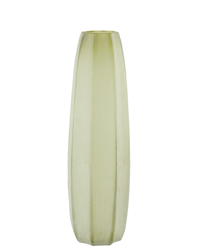 VAAS BRADLEY - OLIJFGROEN