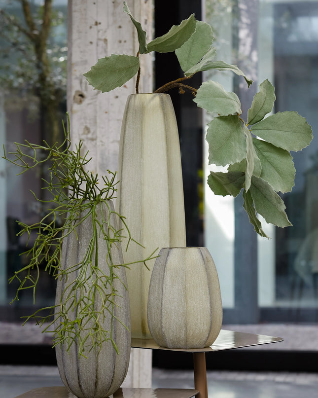 VAAS BRADLEY - OLIJFGROEN