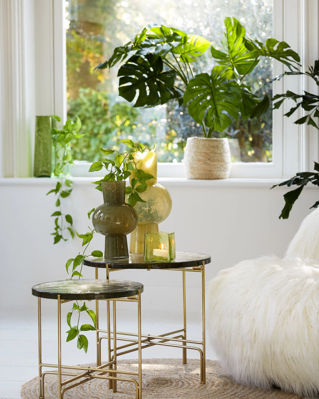 VAAS HALLEY - OLIJFGROEN