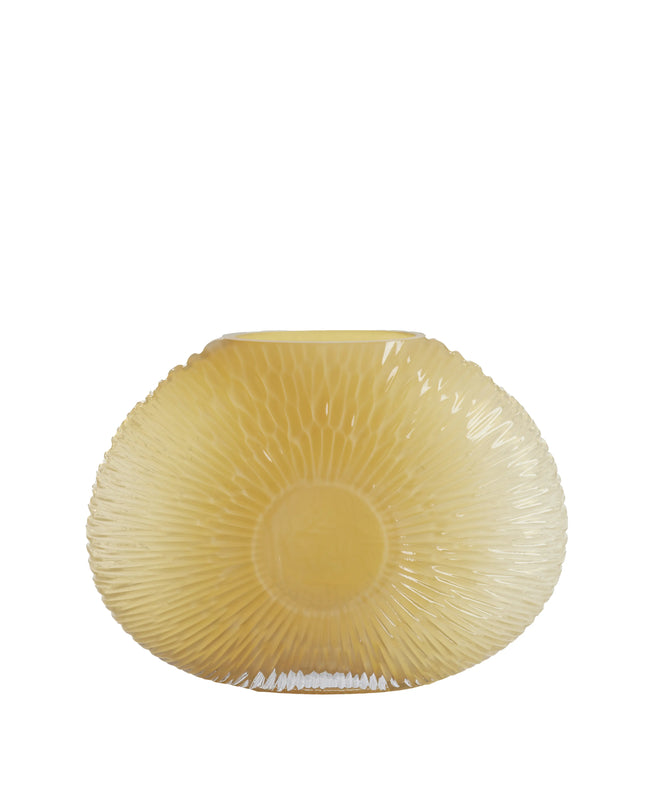 VAAS CONCHA - LICHTGEEL