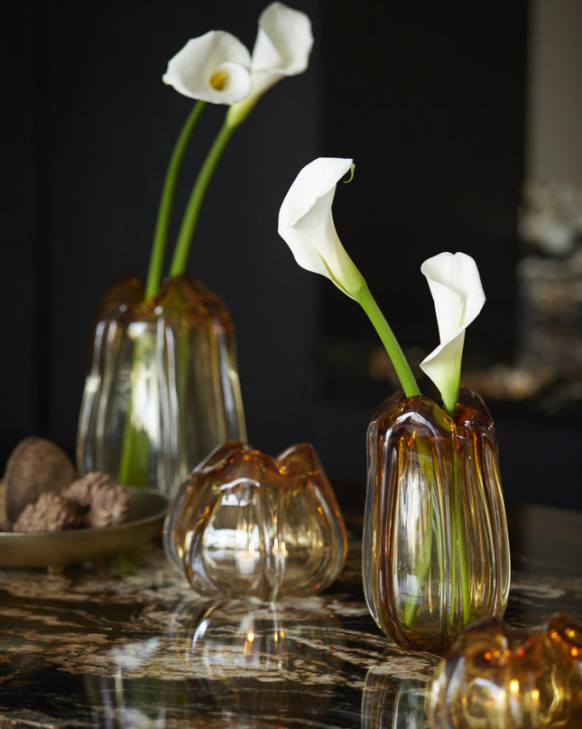 VAAS MURELA S - AMBER