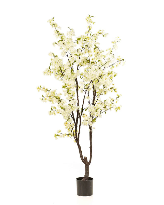 FIONORA | BLOESEMBOOM WIT 210 CM