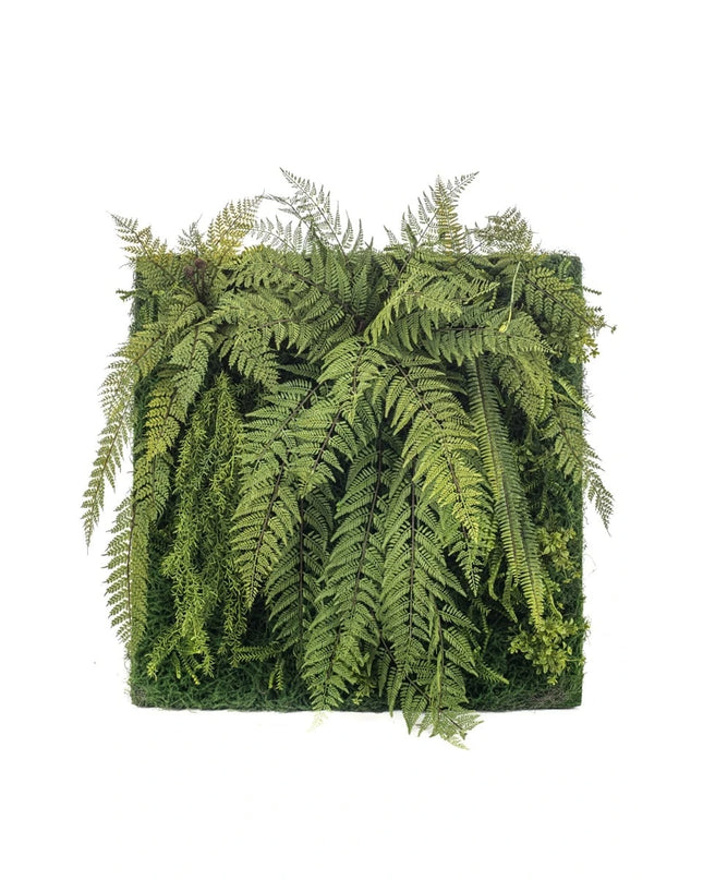 PLANTENMAT FERN LIVING WALL 100 x 100 CM
