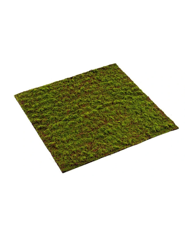 GRIMMIA MOSMAT 100 X 100 CM