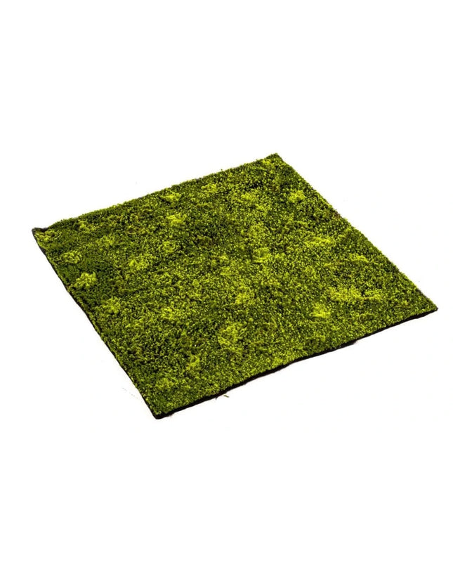 HYPNUM MOSMAT 100 X 100 CM