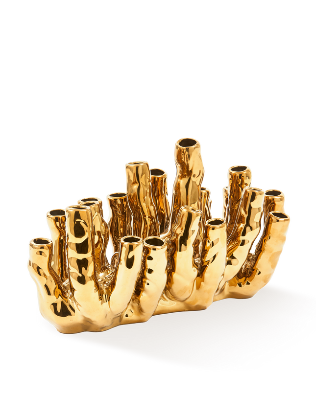 POLS POTTEN | KORAALRIF VAAS