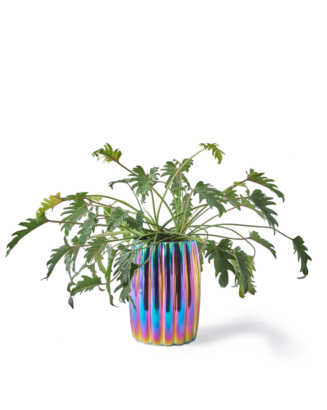 POLS POTTEN | CURVY BLOEMPOT