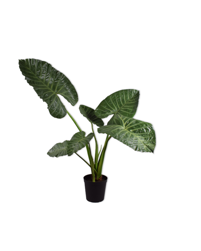 SILK-KA | ALOCASIA GROEN 121 CM