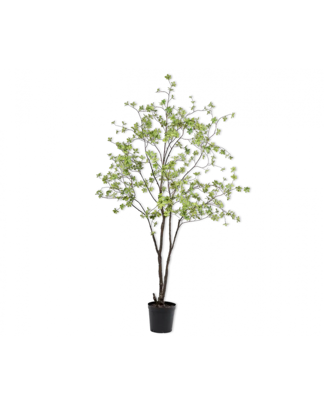 SILK-KA | BUCIDA GROEN 218 CM