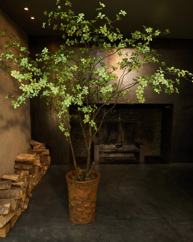 SILK-KA | BUCIDA GROEN 218 CM