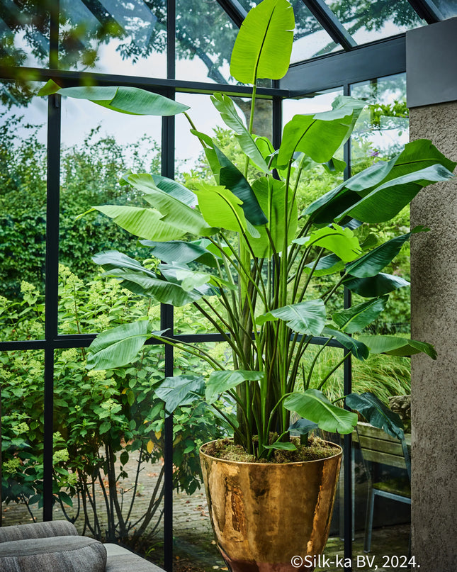 SILK-KA | STRELITZIA GROEN 183 CM