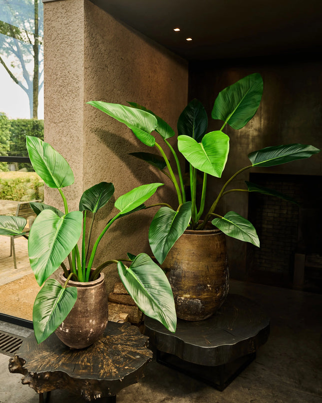 SILK-KA | ALOCASIA GROEN 122 CM