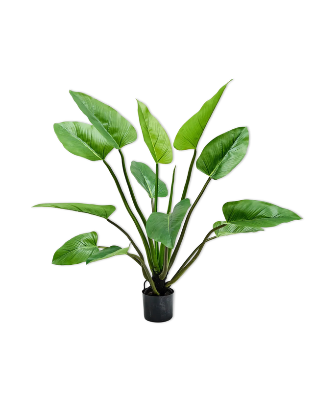 SILK-KA | ALOCASIA GROEN 122 CM