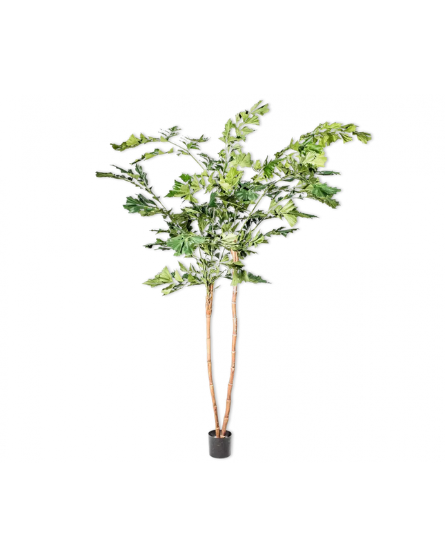 SILK-KA | PALM GROEN 240 CM