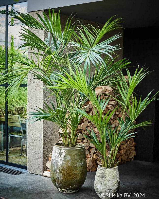 SILK-KA | PALM GROEN 150 CM