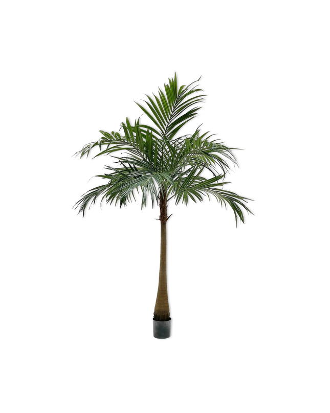 SILK-KA | PALM GROEN 190 CM
