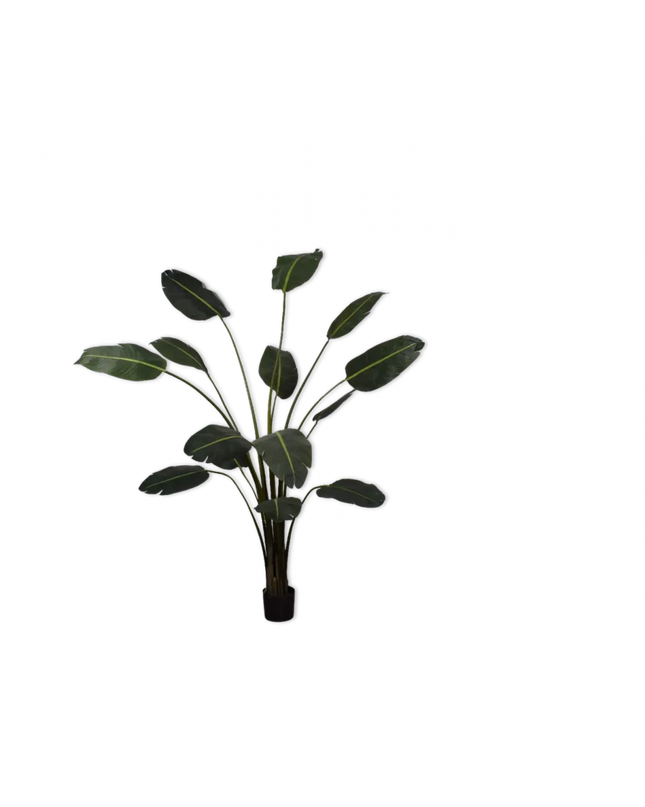 SILK-KA | STRELITZIA GROEN 213 CM