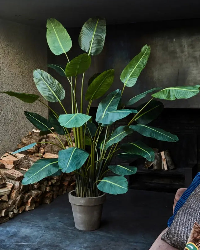 SILK-KA | STRELITZIA GROEN 213 CM