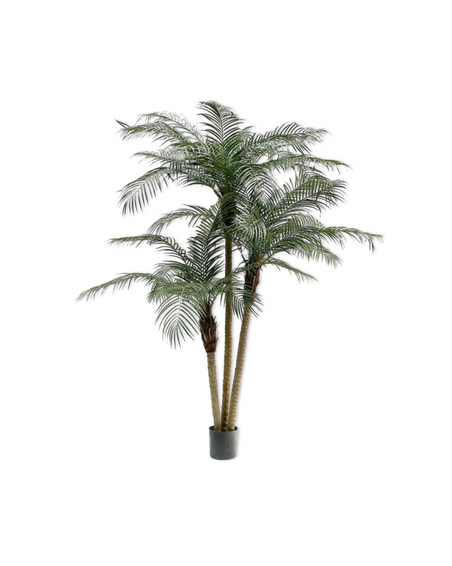 SILK-KA | PALM PHOENIX GROEN 183 CM
