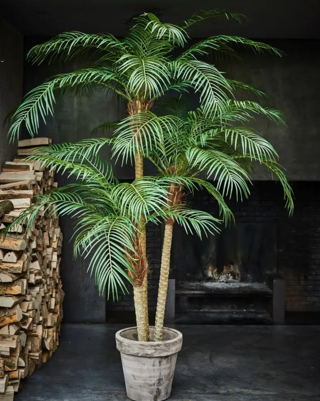 SILK-KA | PALM PHOENIX GROEN 183 CM