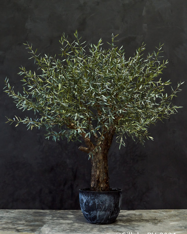 SILK-KA | OLIJF BOOM GROEN 240 CM