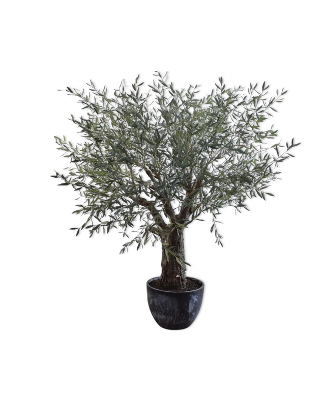 SILK-KA | OLIJF BOOM GROEN 240 CM