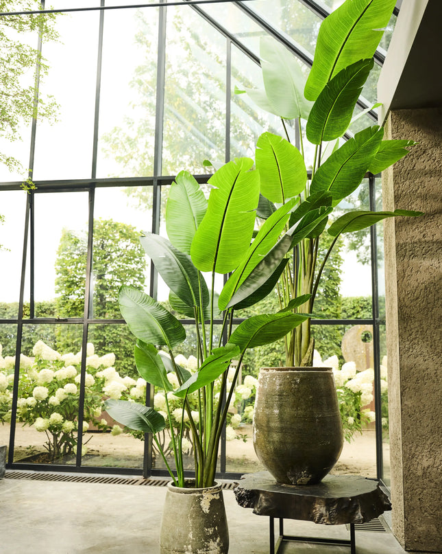 SILK-KA | STRELITZIA GROEN 182 CM