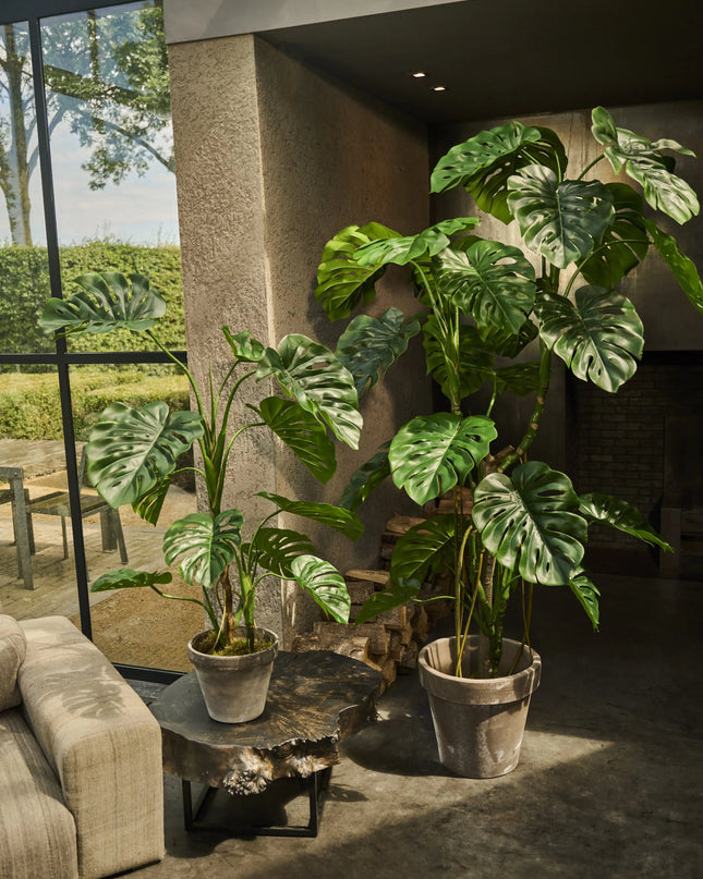 SILK-KA | MONSTERA GROEN 210 CM