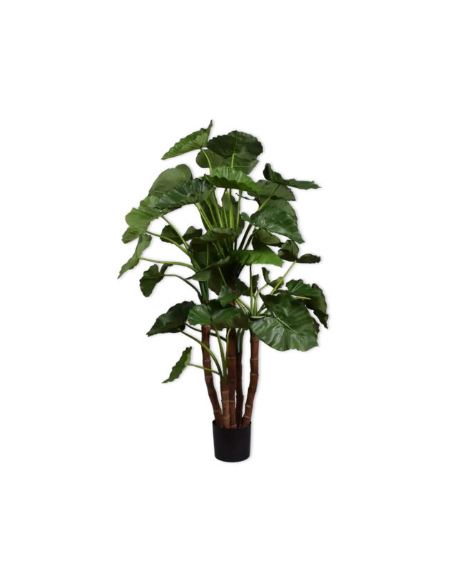 SILK-KA | ALOCASIA GROEN 150 CM