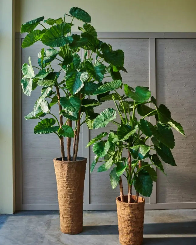 SILK-KA | ALOCASIA GROEN 150 CM