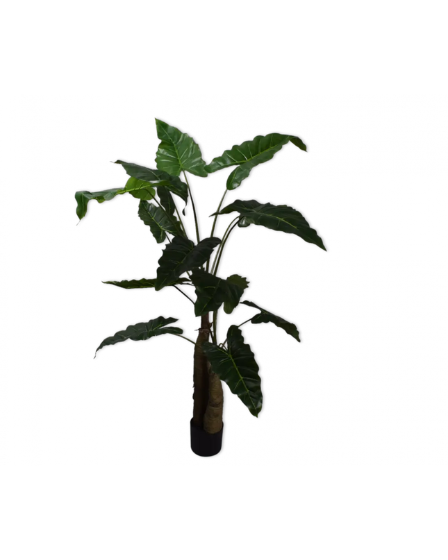 SILK-KA | ALOCASIA GROEN 152 CM