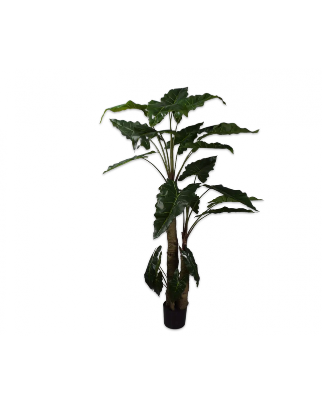 SILK-KA | ALOCASIA GROEN 182 CM