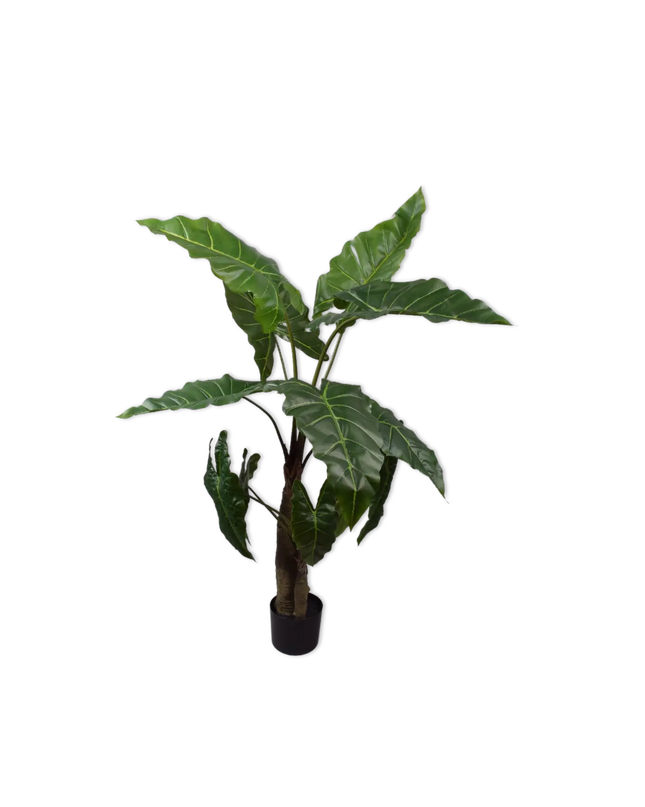 SILK-KA | ALOCASIA GAGEANA GROEN 121 CM